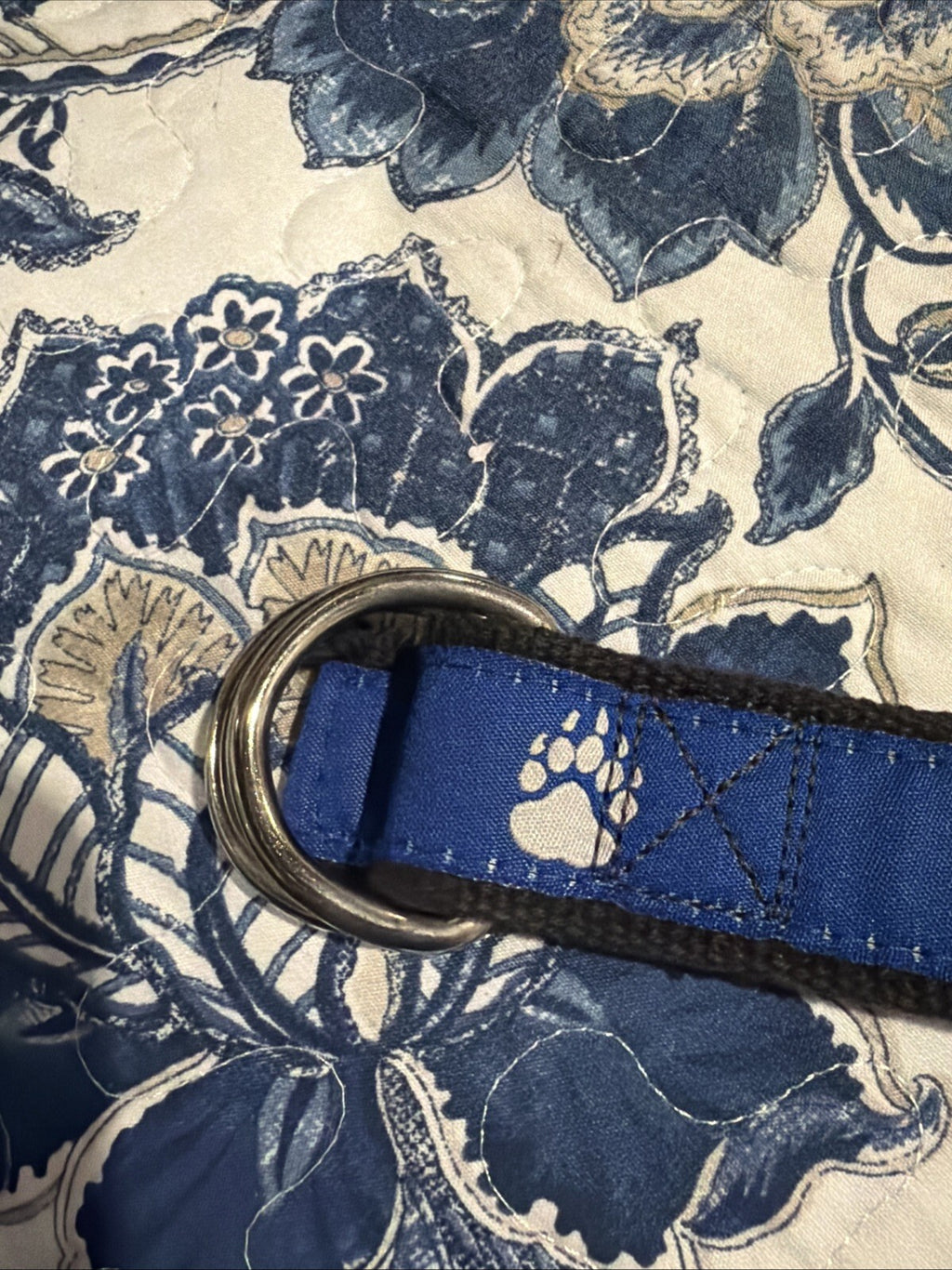 Moonshine Belt with Bear Paw Print Blue and Grey Belt