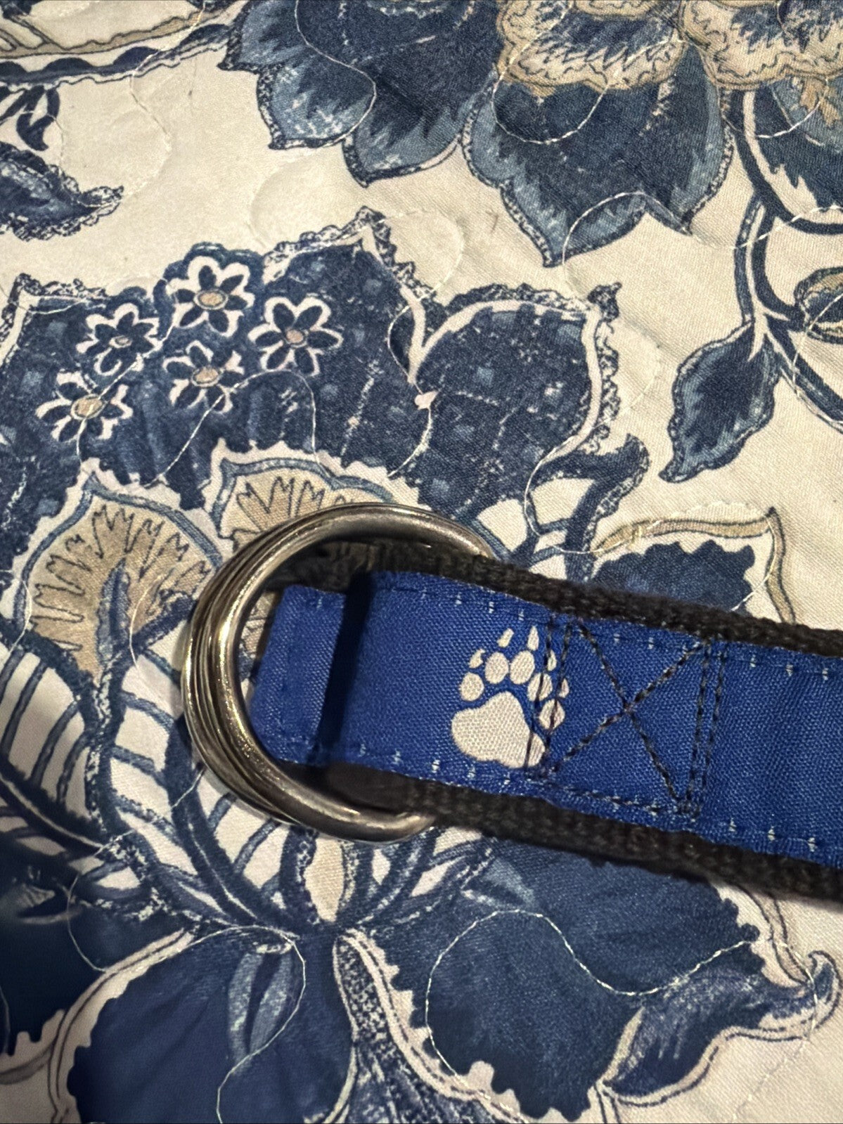Moonshine Belt with Bear Paw Print Blue and Grey Belt