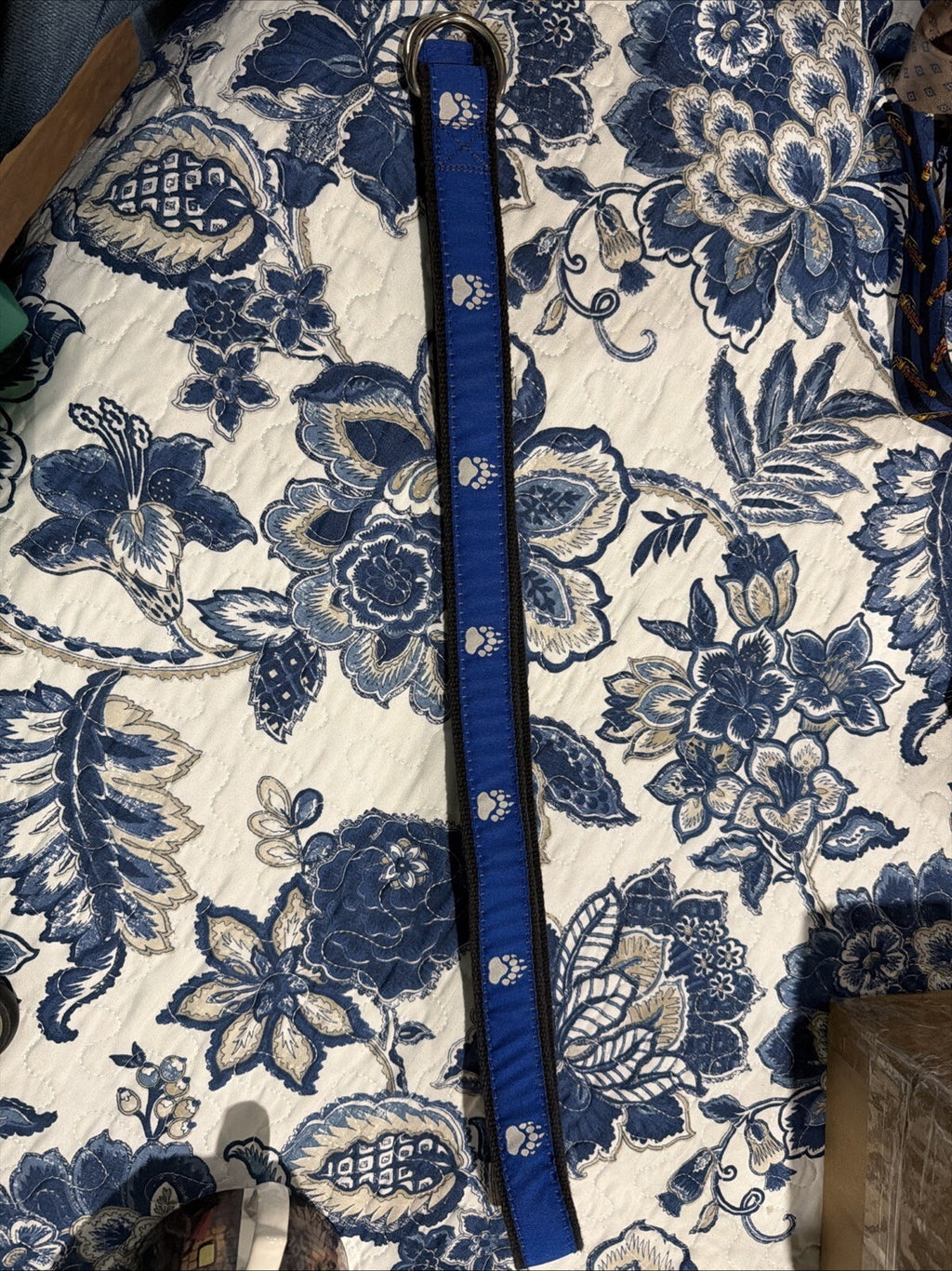 Moonshine Belt with Bear Paw Print Blue and Grey Belt