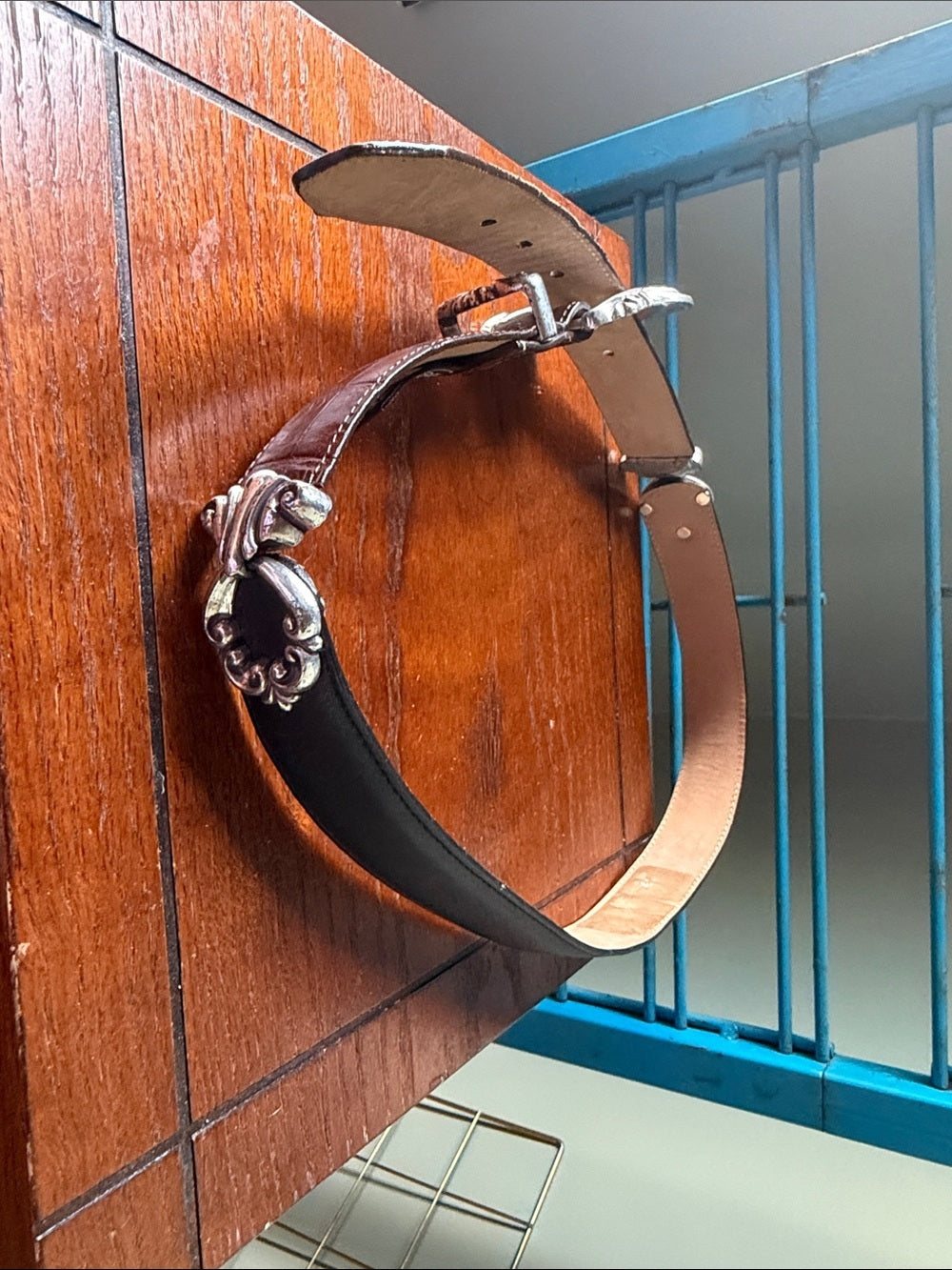 Brighton Brown Leather Belt with Ornate Silver Buckle