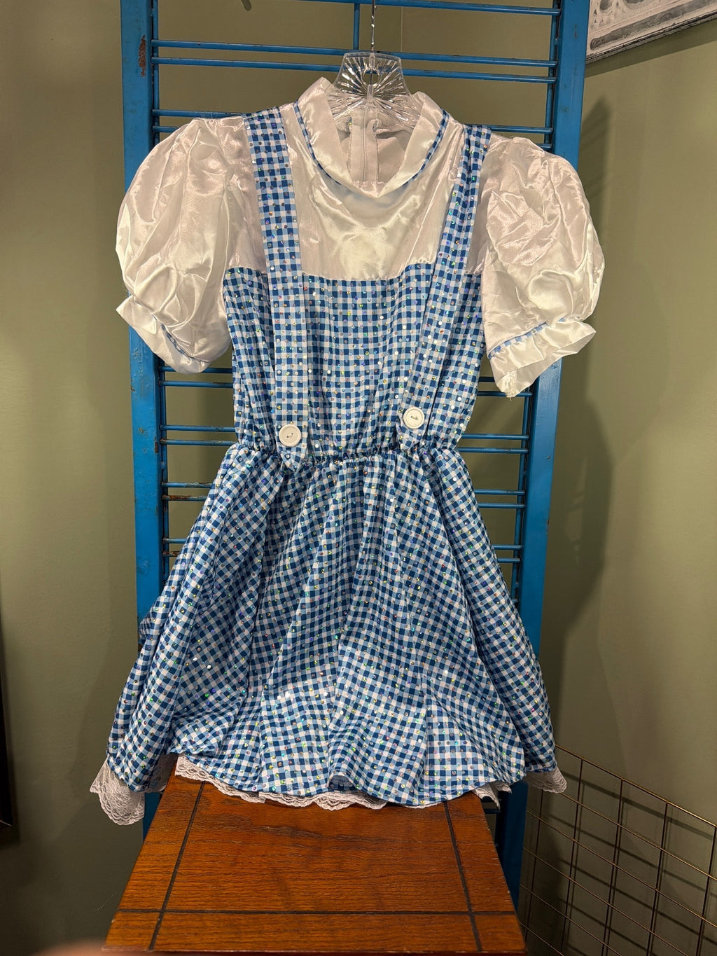 Vintage Style Blue and White Gingham Dress with Puff Sleeves
