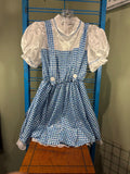 Vintage Style Blue and White Gingham Dress with Puff Sleeves