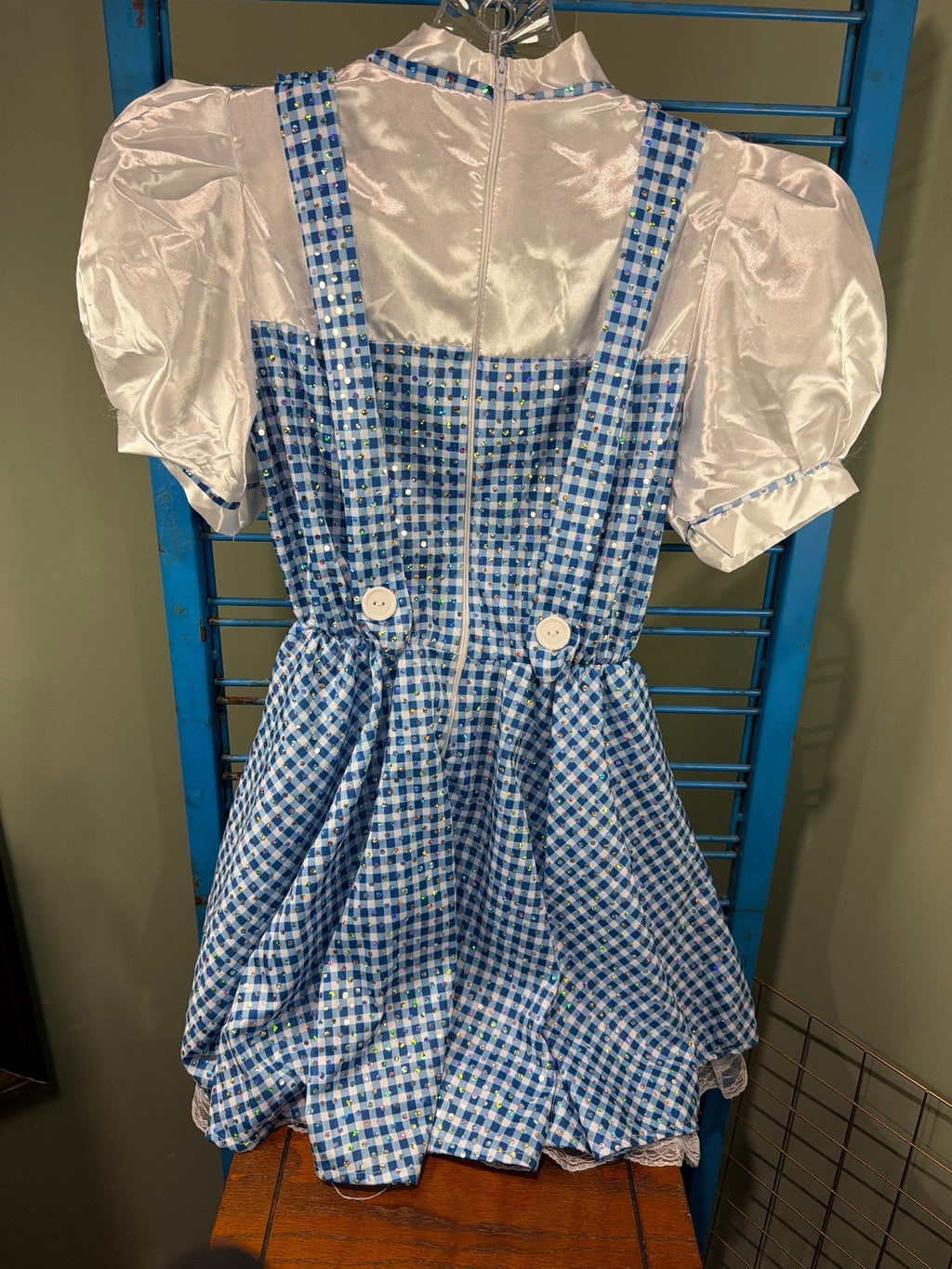 Vintage Style Blue and White Gingham Dress with Puff Sleeves