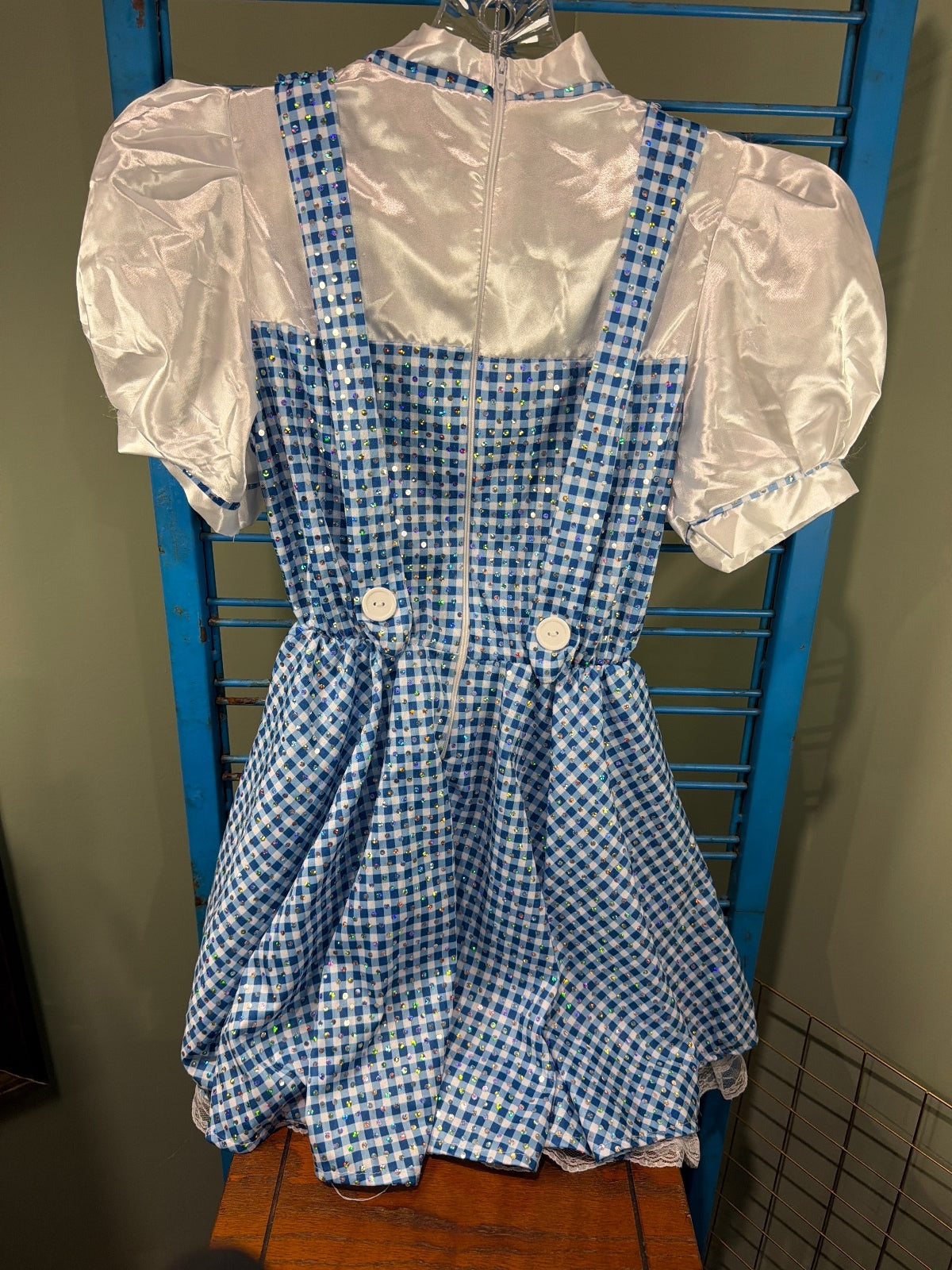 Vintage Style Blue and White Gingham Dress with Puff Sleeves